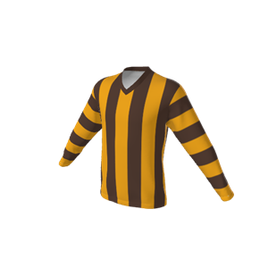 Hawks — AFL